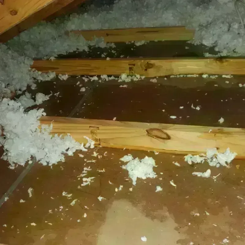 Attic Water Damage in Logan County, IL