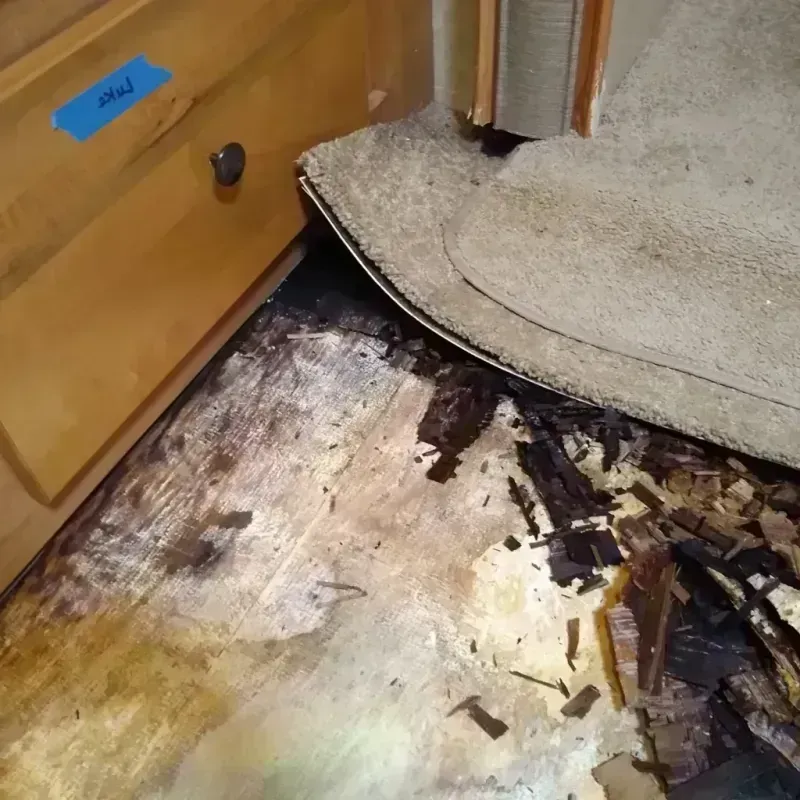 Wood Floor Water Damage in Logan County, IL